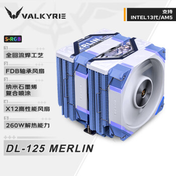 瓦尔基里(VALKYRIE）DL125MERLINVKCPU